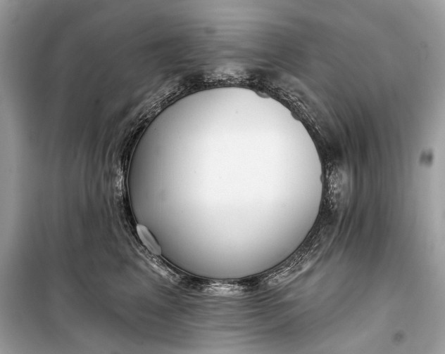 X0000099300617200805161350