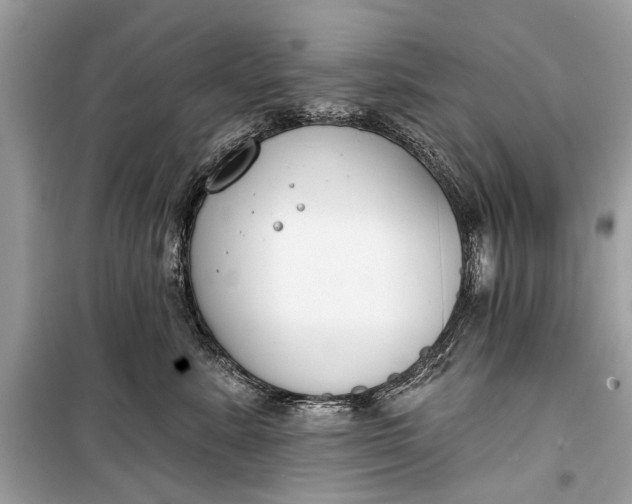 X0000099300619200805161350