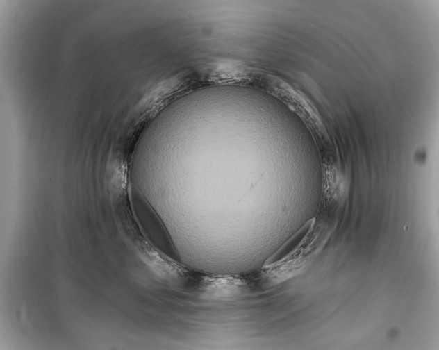 X0000099300621200805161350