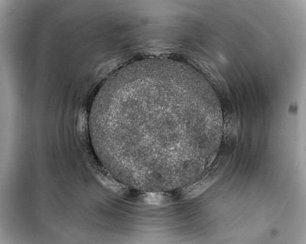 X0000099300623200805161350