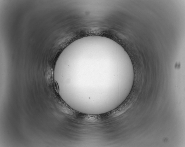 X0000099300624200805161350