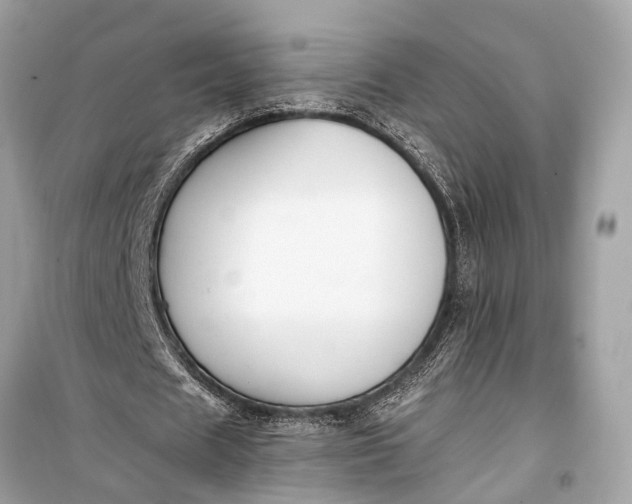 X0000099300625200805161349