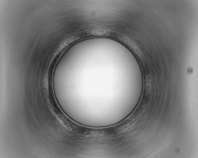 X0000099300626200805161349