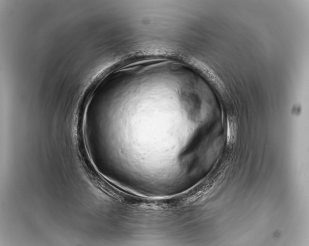 X0000099300627200805161349