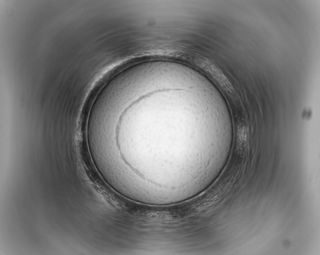 X0000099300628200805161349