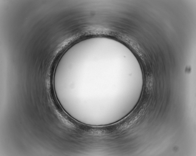 X0000099300629200805161349