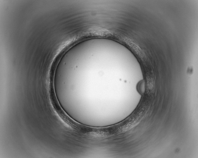 X0000099300630200805161349