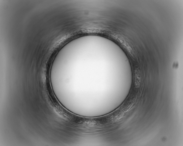 X0000099300631200805161349