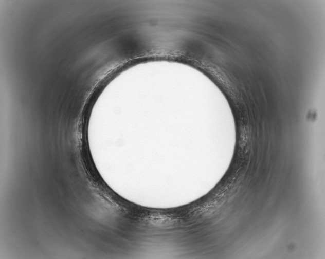 X0000099300632200805161349