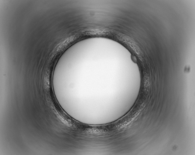 X0000099300633200805161349