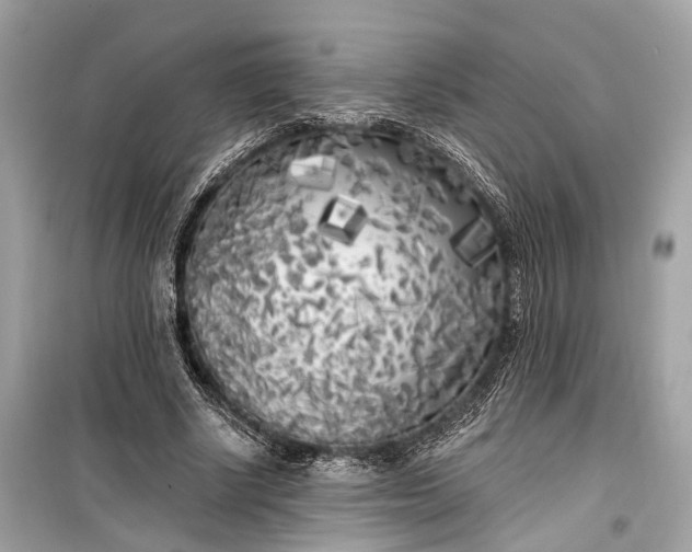 X0000099300634200805161349