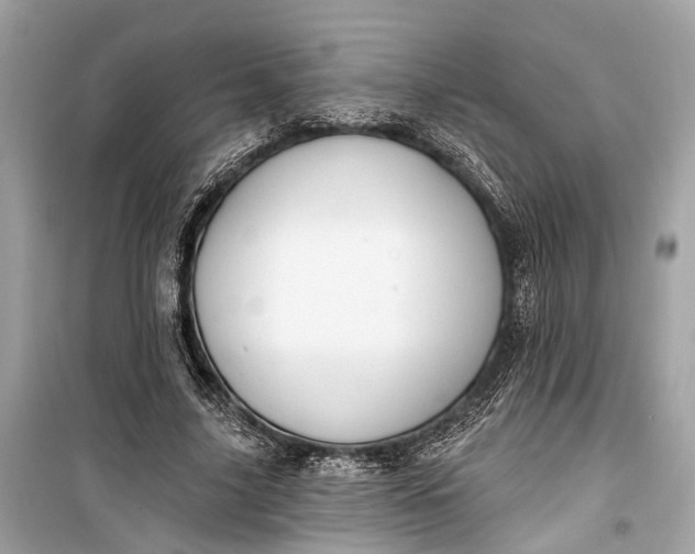 X0000099300635200805161349