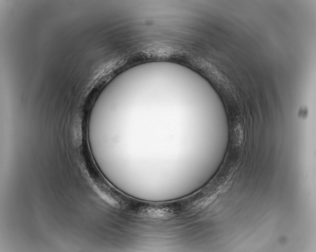 X0000099300638200805161349