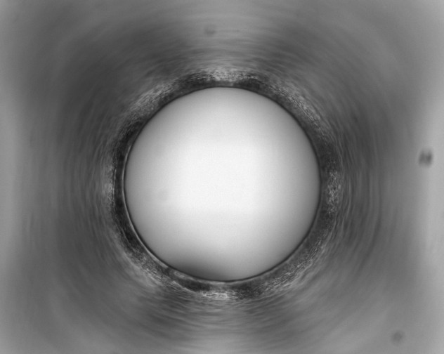 X0000099300639200805161349