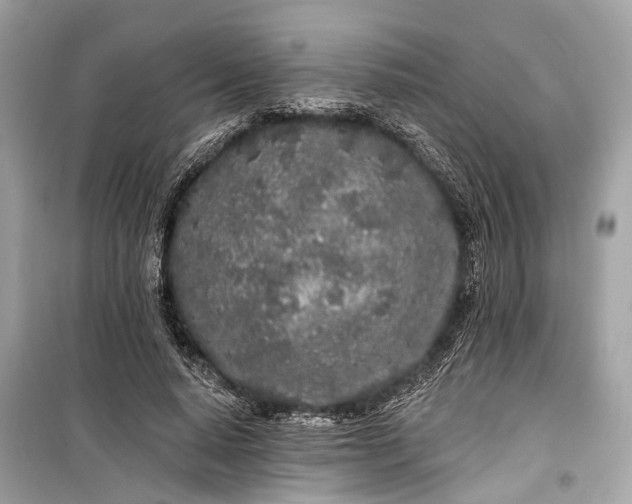 X0000099300640200805161350