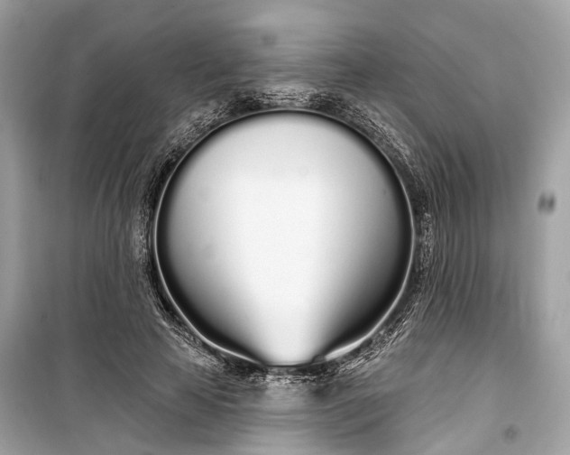 X0000099300641200805161350