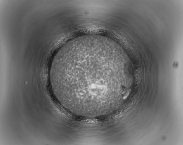 X0000099300642200805161350