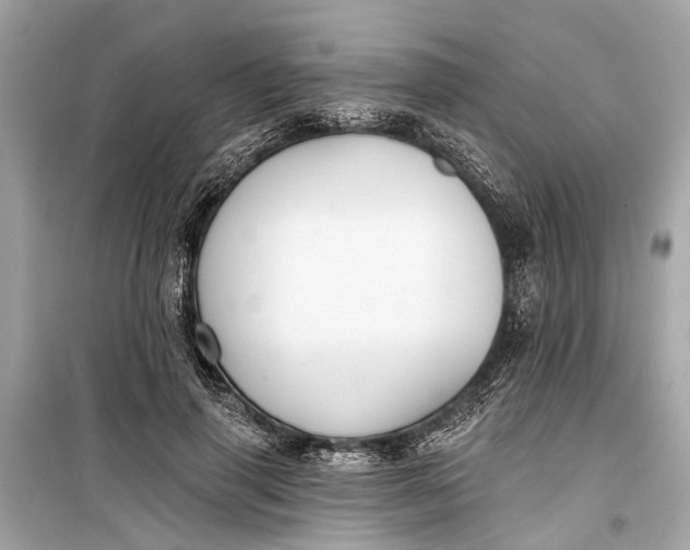 X0000099300645200805161350