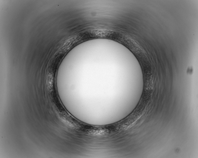 X0000099300646200805161350