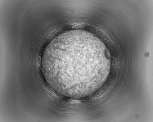 X0000099300649200805161350