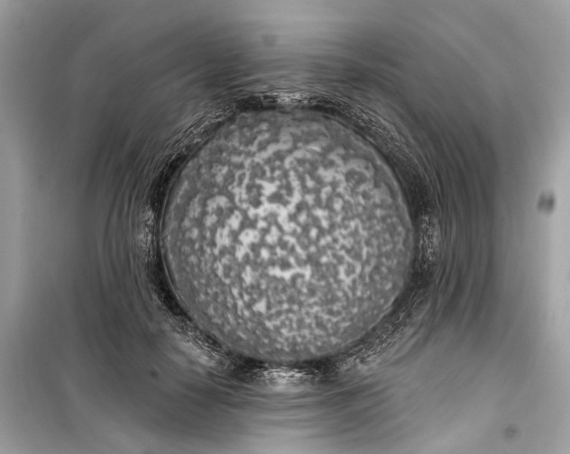 X0000099300650200805161350