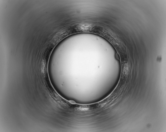 X0000099300651200805161350