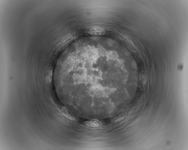 X0000099300652200805161350