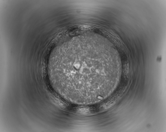 X0000099300653200805161350