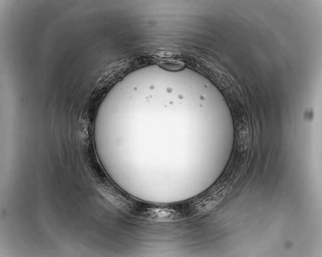 X0000099300654200805161350