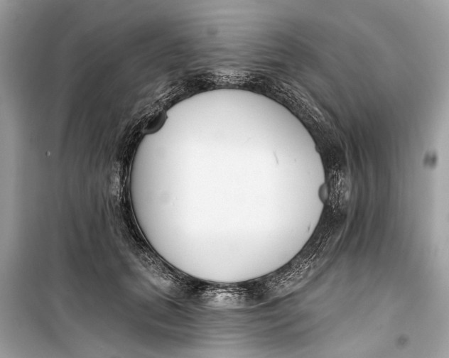 X0000099300655200805161350