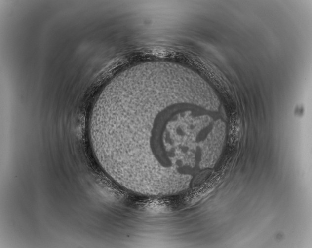 X0000099300656200805161350