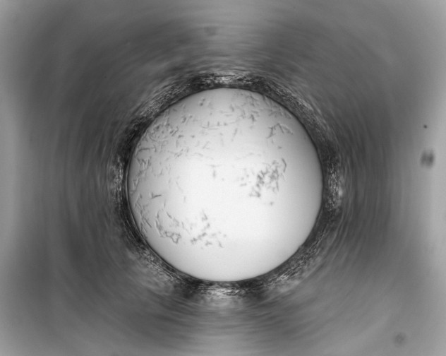 X0000099300657200805161350