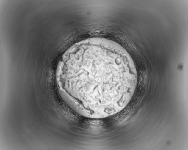 X0000099300659200805161350