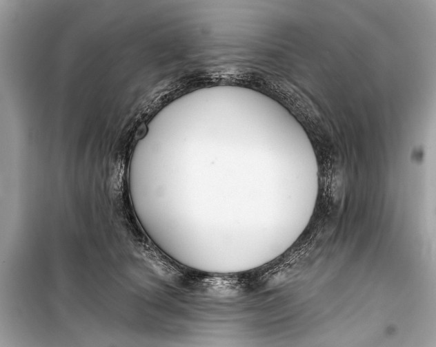 X0000099300660200805161350