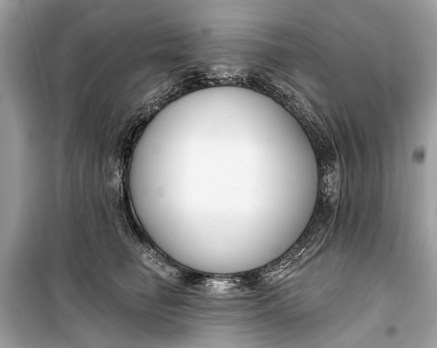 X0000099300662200805161350