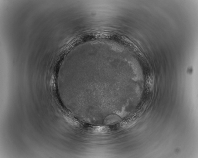 X0000099300663200805161350