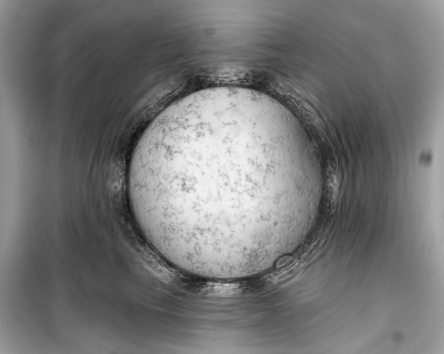 X0000099300665200805161350