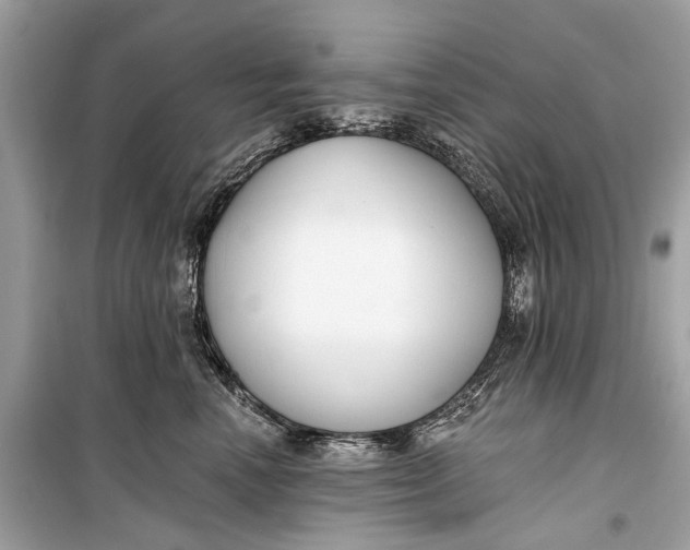 X0000099300666200805161350