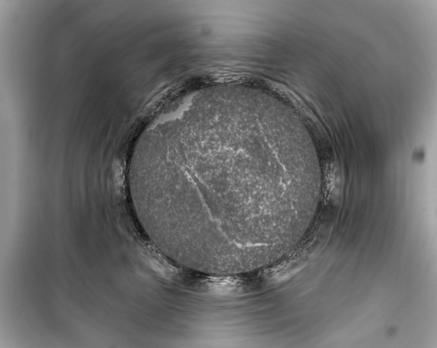 X0000099300667200805161350