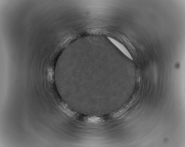 X0000099300669200805161350