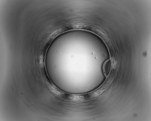 X0000099300670200805161350