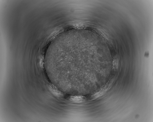 X0000099300671200805161350