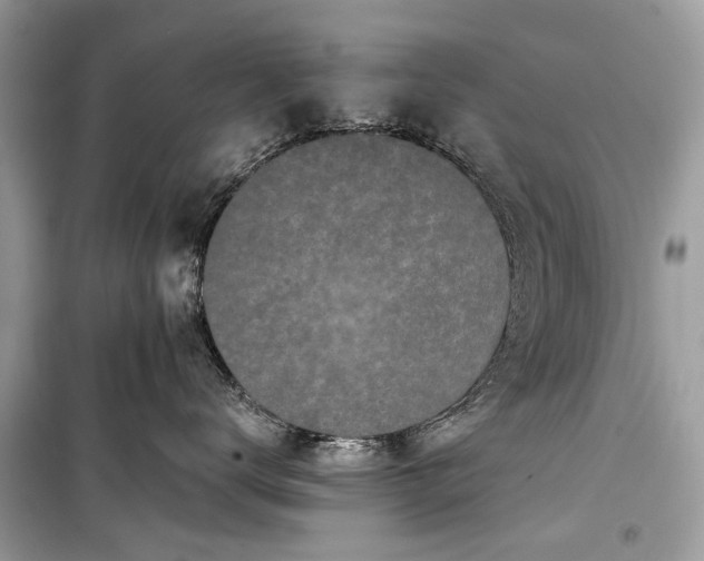 X0000099300672200805161350