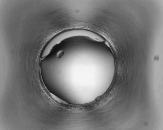 X0000099300673200805161349