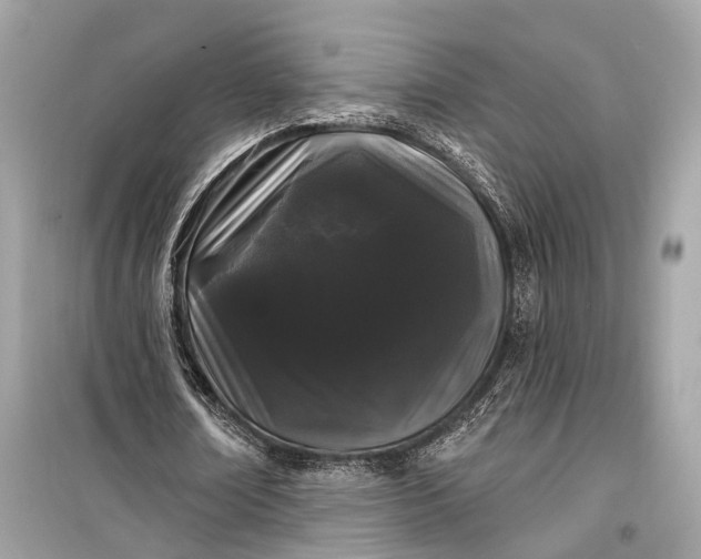 X0000099300674200805161349