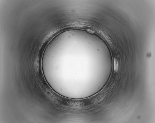 X0000099300675200805161349