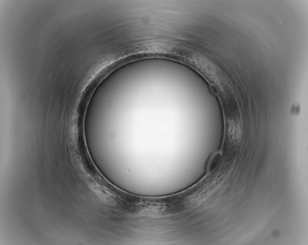 X0000099300676200805161349