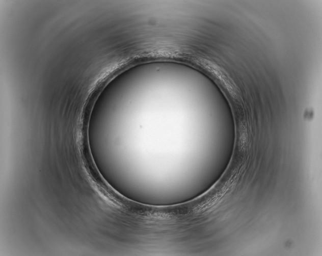 X0000099300677200805161349