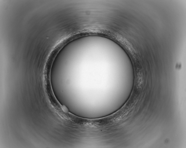 X0000099300680200805161349