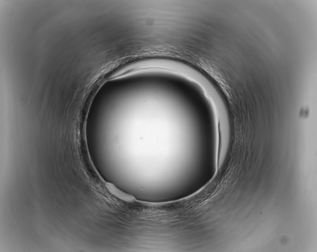 X0000099300681200805161349